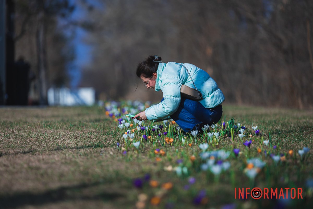 Зупиніться на мить Зупиніться на мить