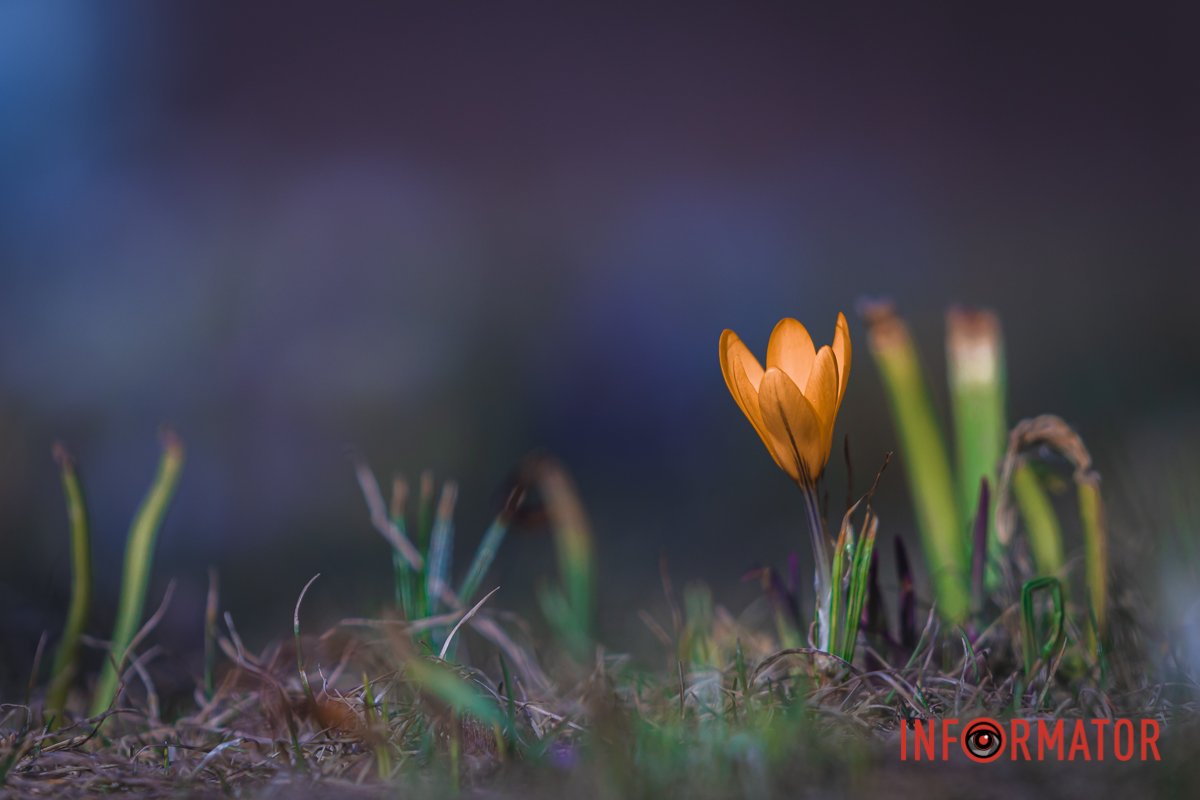 Мінімалізм Мінімалізм