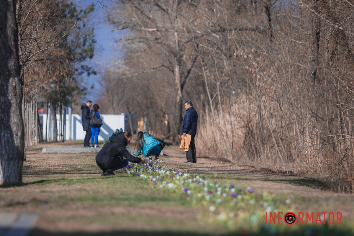 Перші промені сонця Перші промені сонця