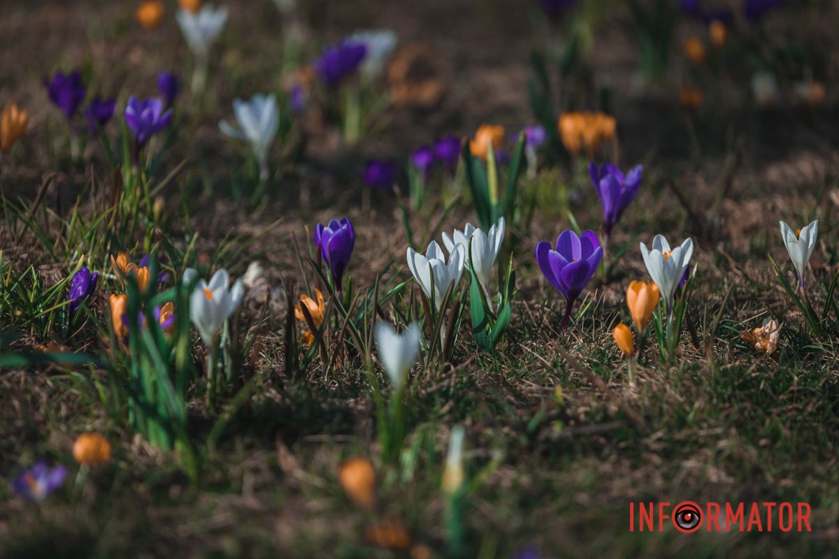 Три кольори поєднання Три кольори поєднання