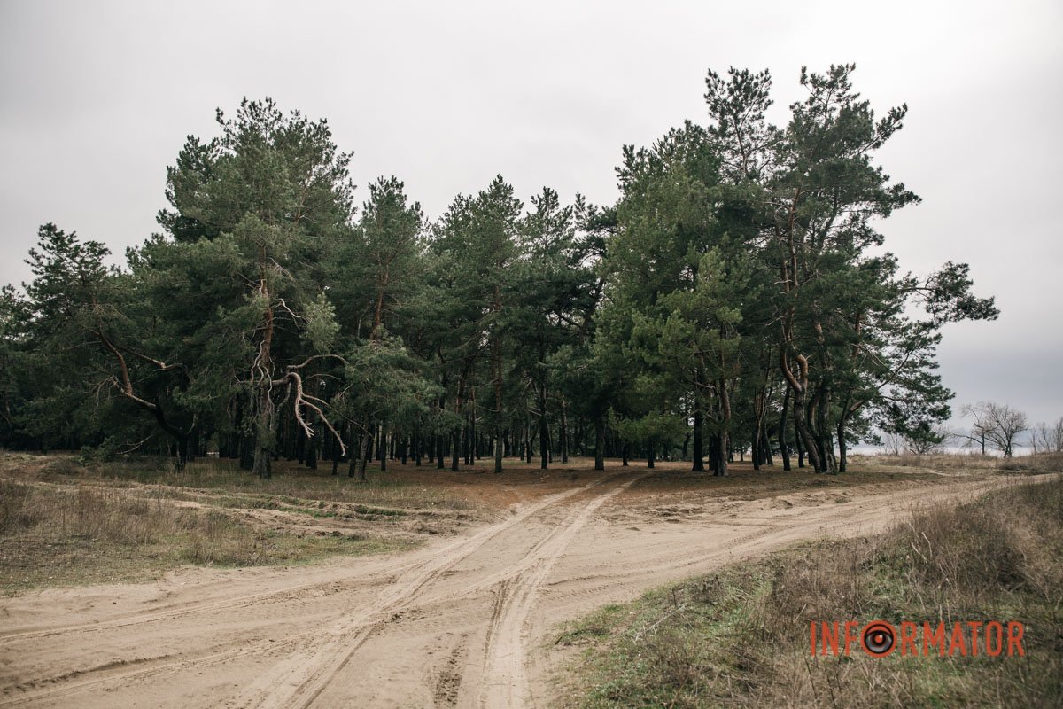 Дороги Дороги