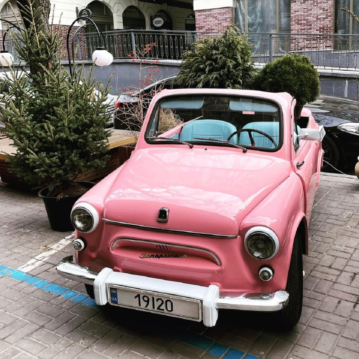 Фото: @spyrydonenkova