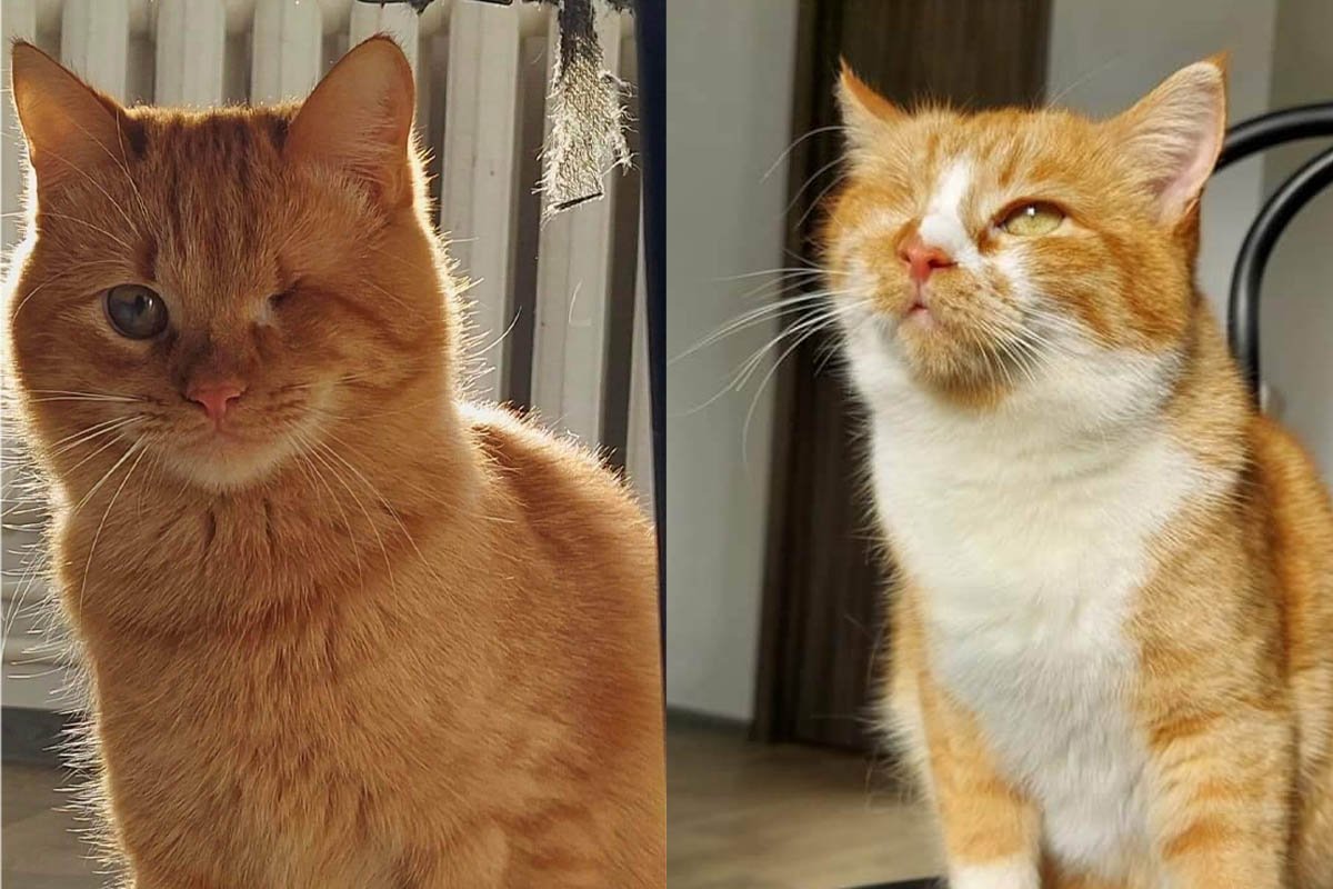 Віккі та Байрик Віккі та Байрик