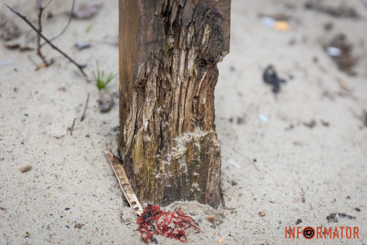 Майданчик розташований на проспекті Богдана Хмельницького 