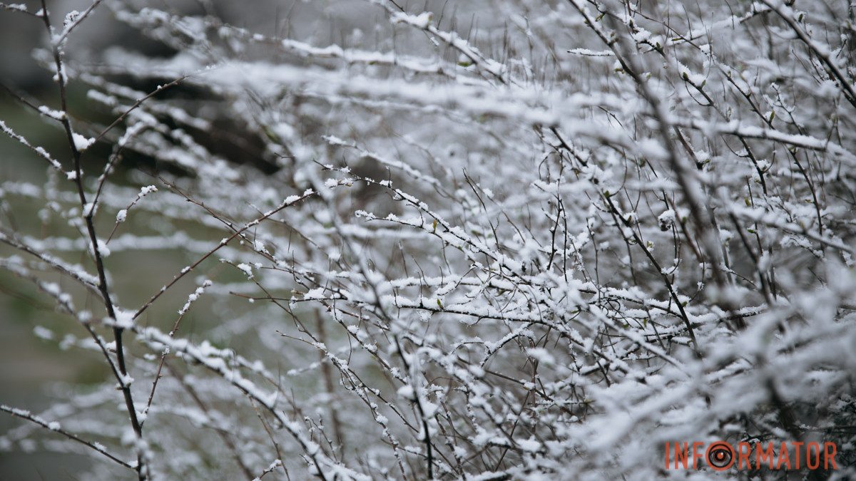 В Днепре прошел "мартовский снегопад": подборка красивых фото