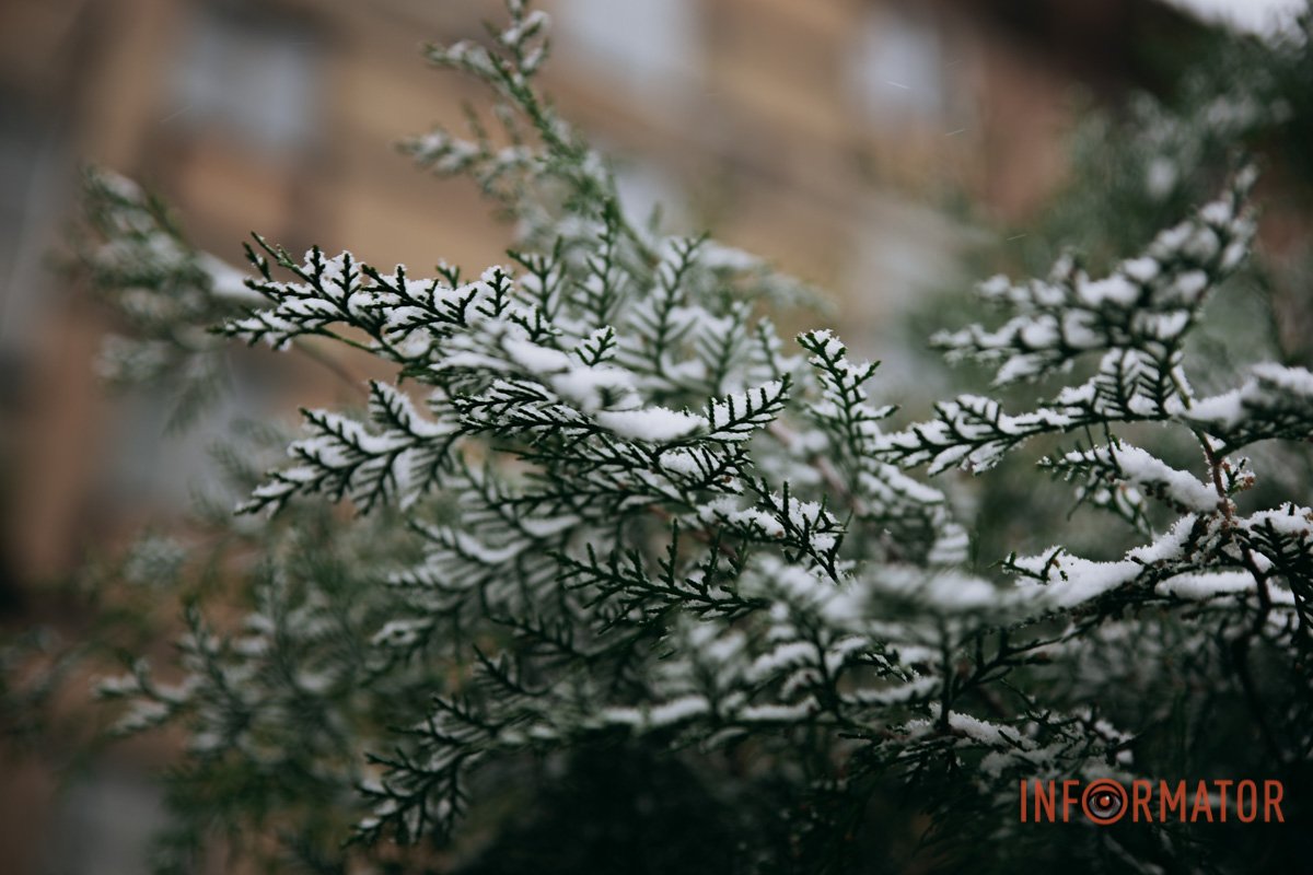 Let it Snow Let it Snow