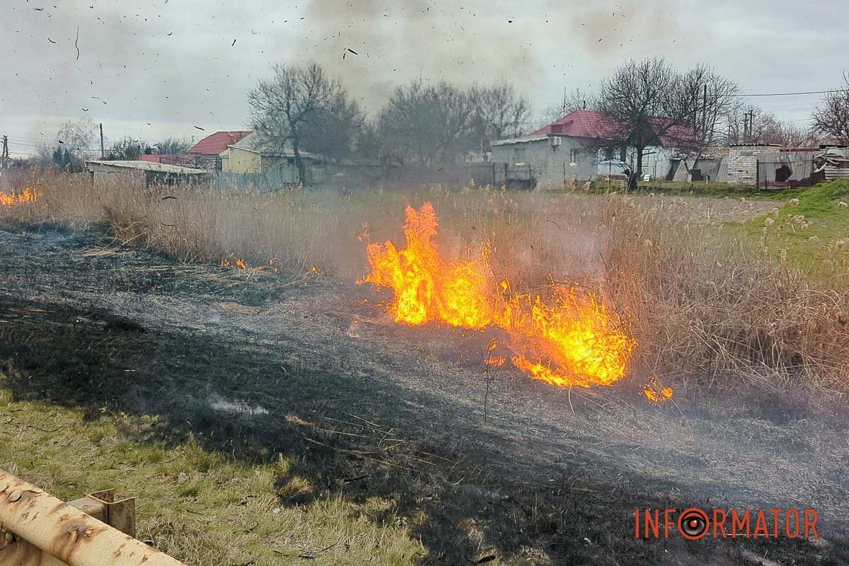 Поруч знаходяться житлові будинки
