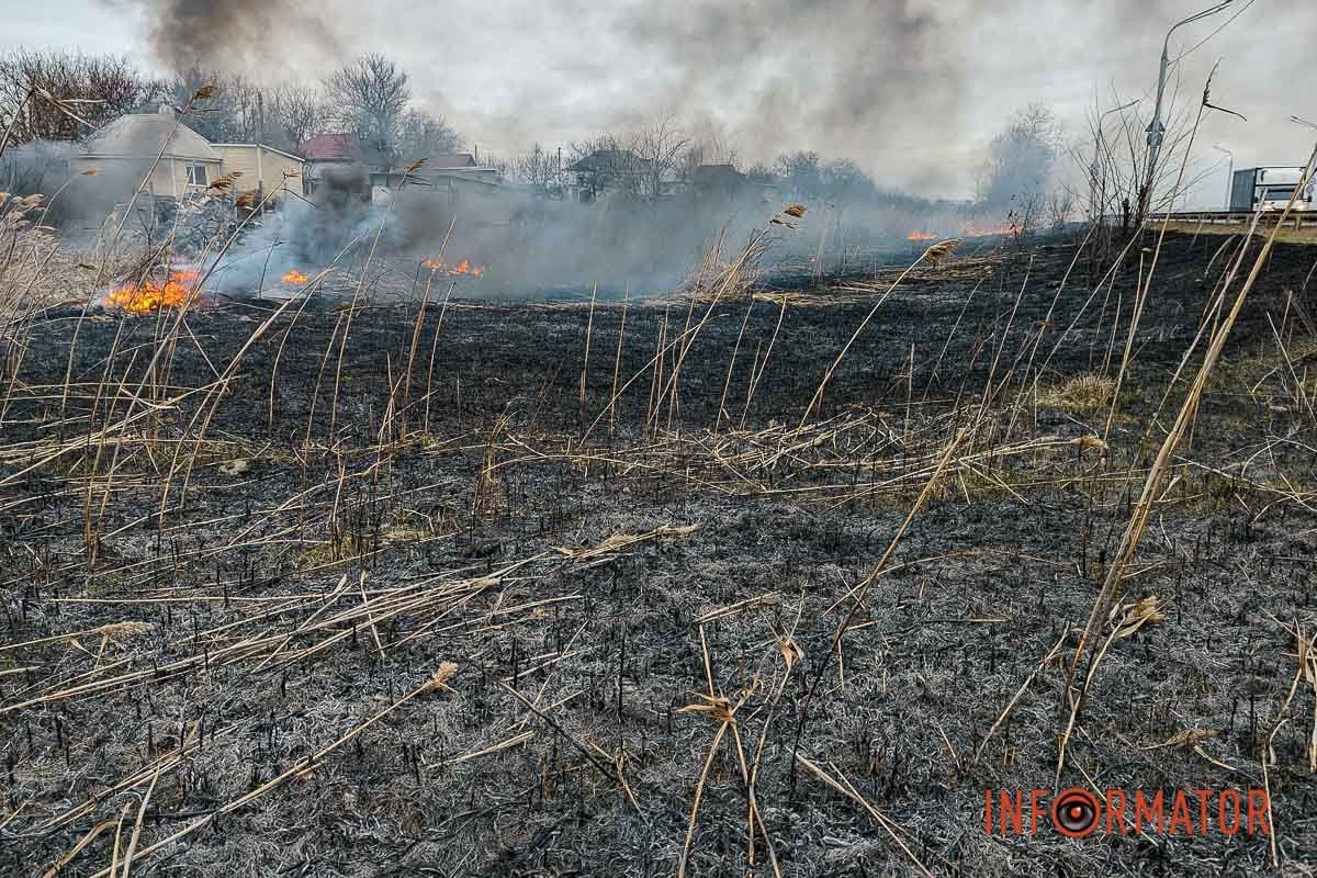 В очереті знаходиться багато сміття