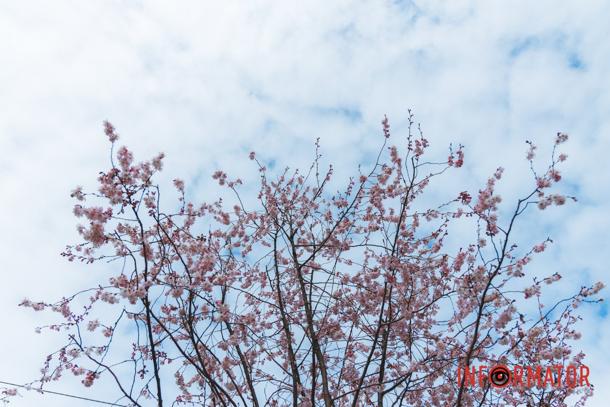 Життя триває