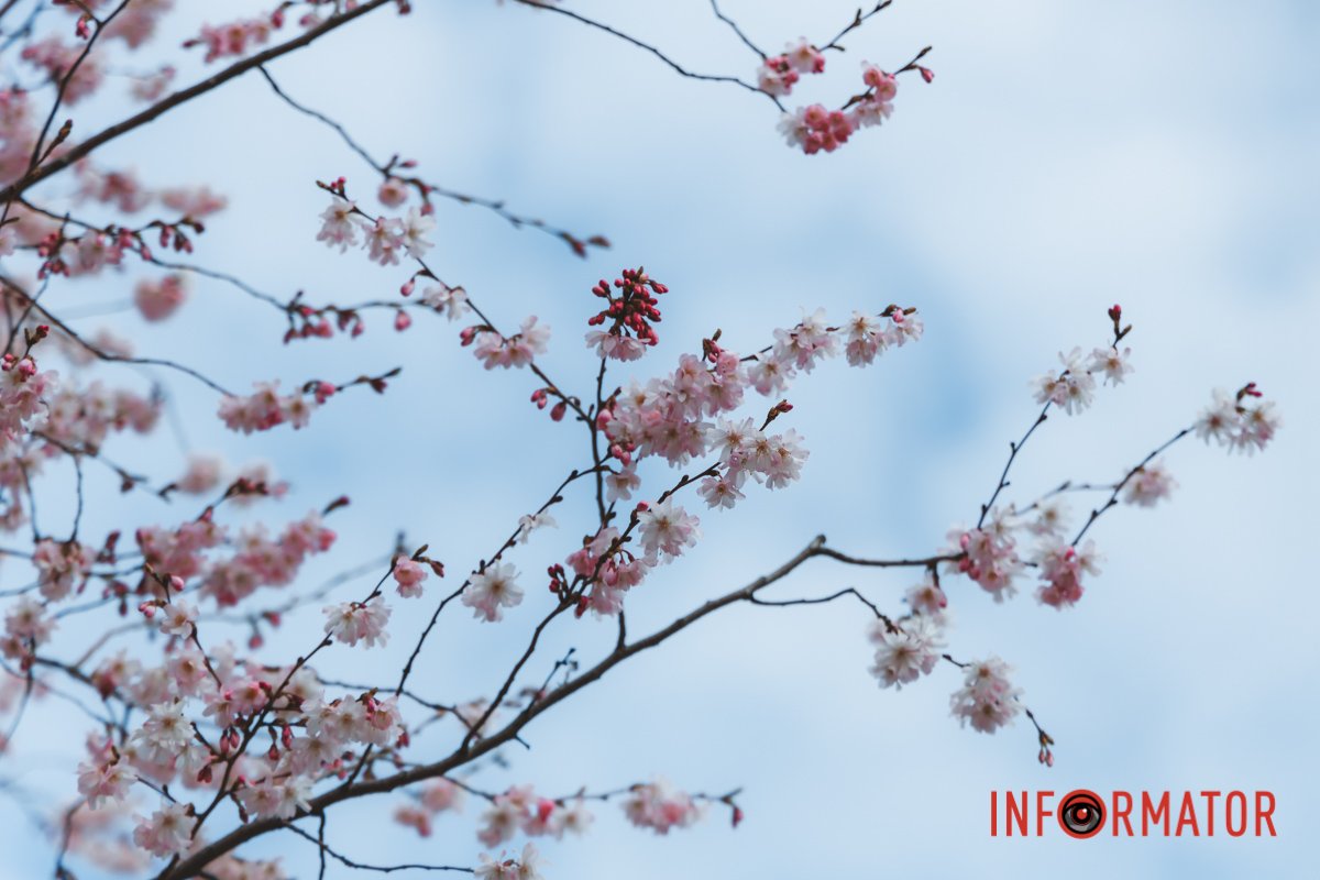 Наші оператори стараються для вас