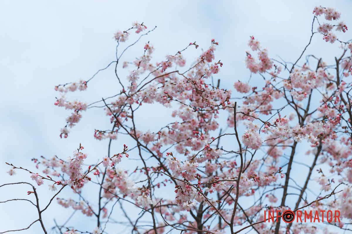 Віримо в краще