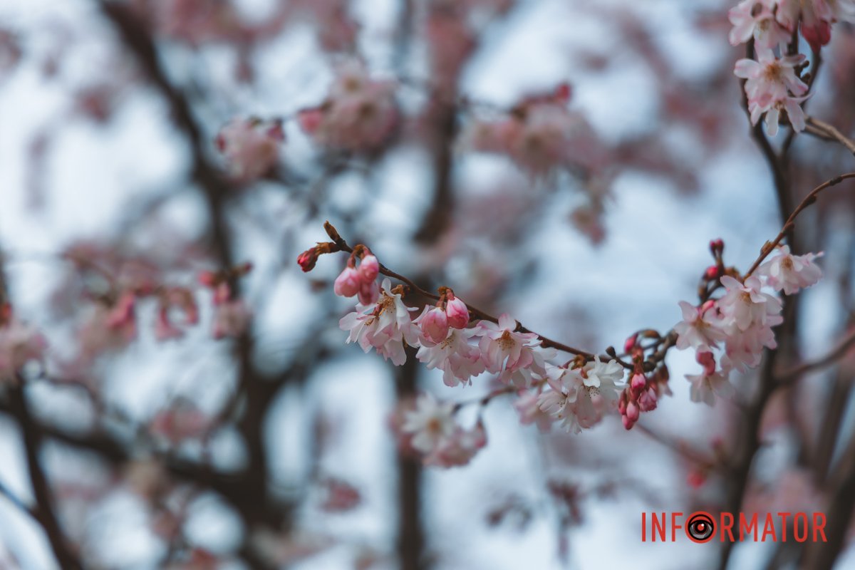 Природою можна любуватись вічно
