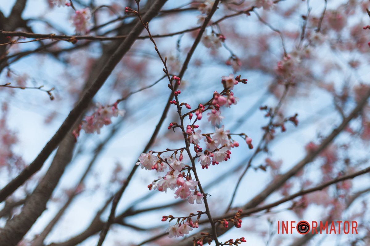 Фото: Денис Чубченко