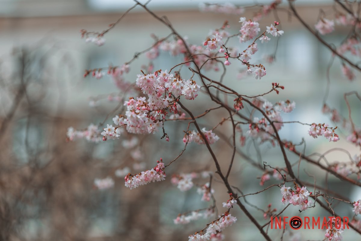 Нехай похмура погода не псує вам настрій