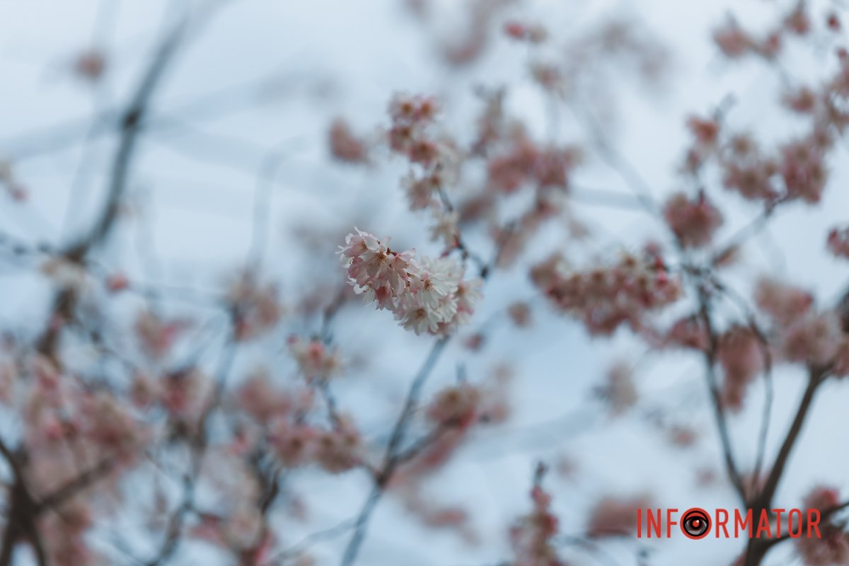 І радіємо дрібницям