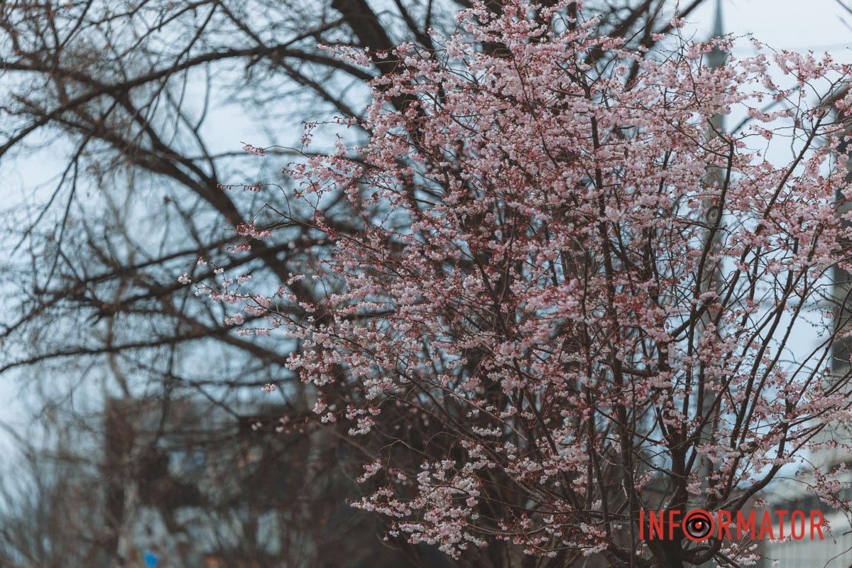 Не опускаємо руки