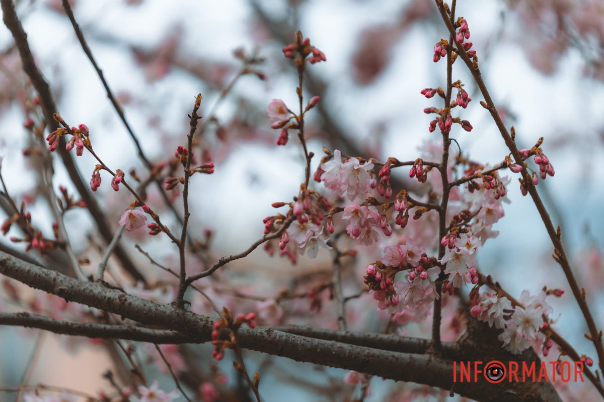 Привертає увагу