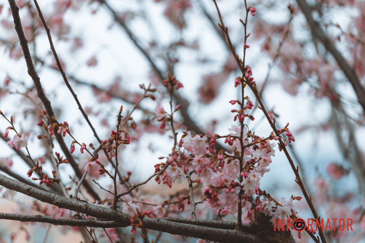 Скоро нарешті знімемо куртки