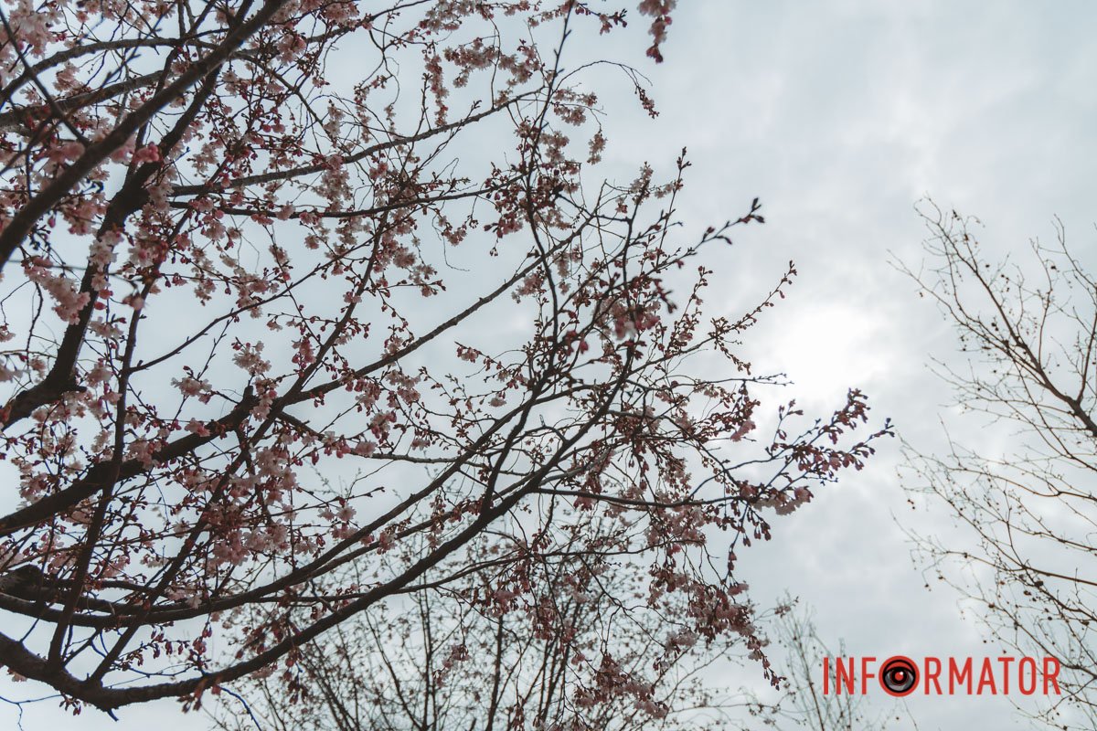 Небо похмуре