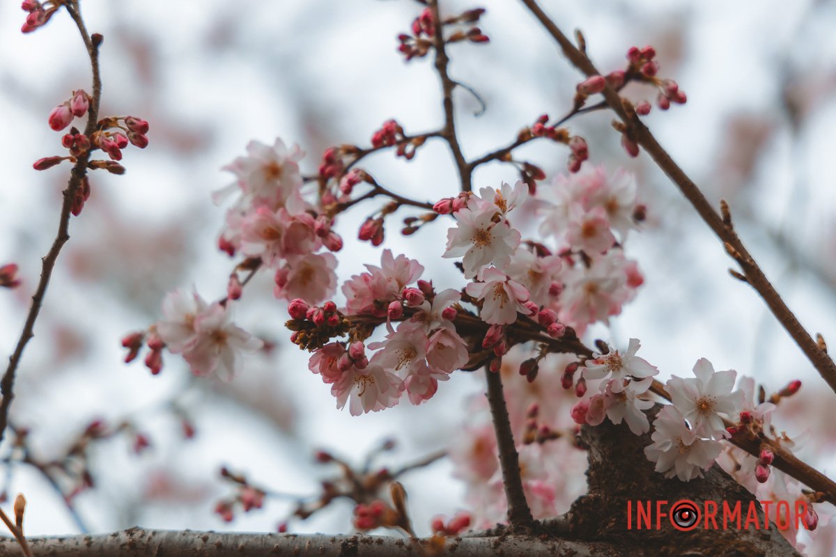 Посміхніться