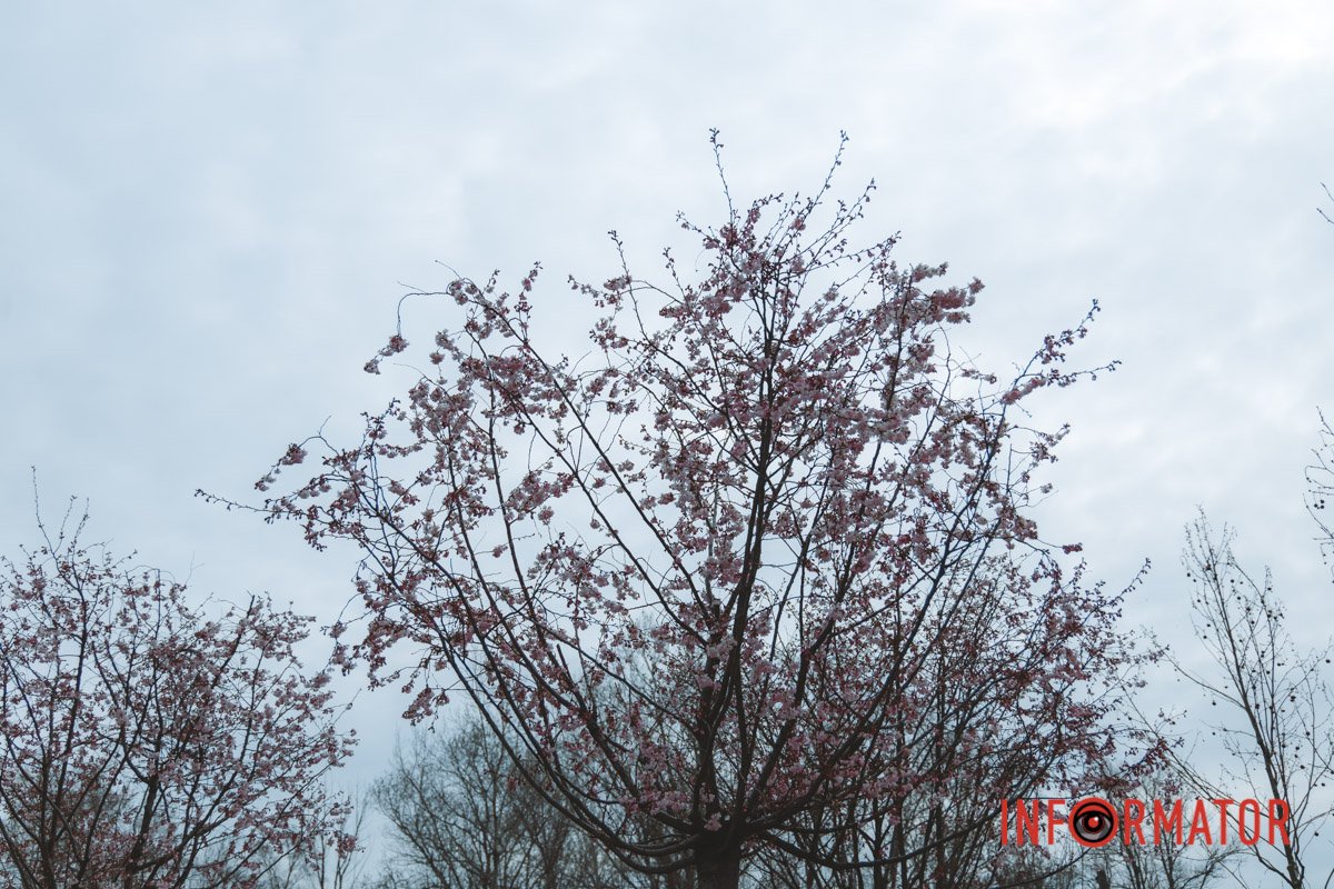 Сонце сховалося