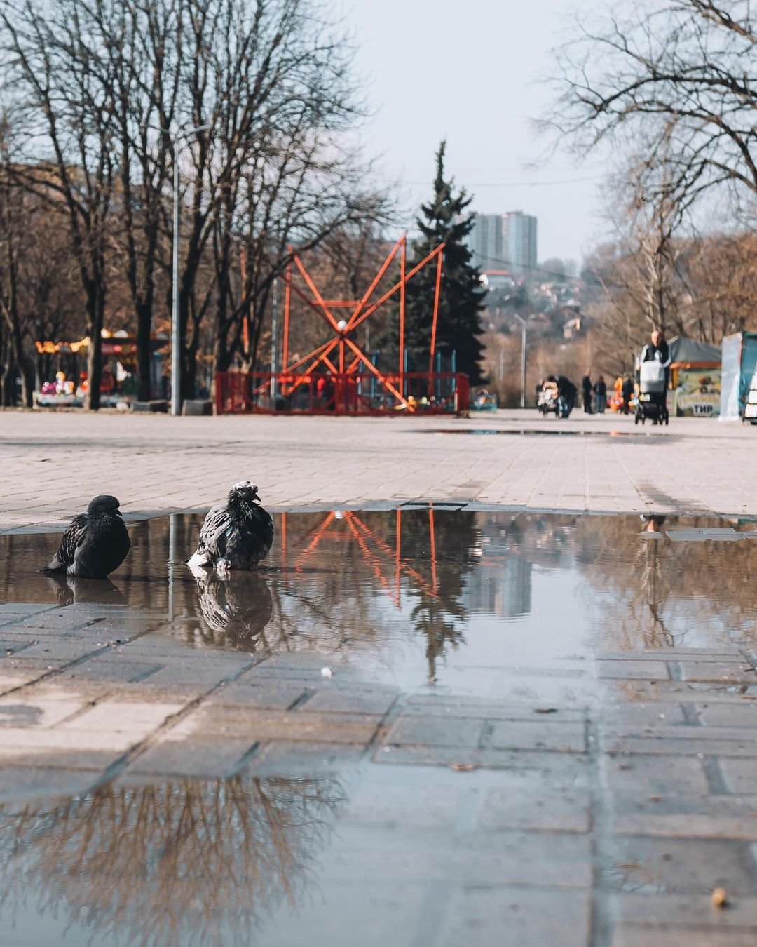 @hamster_dp_ua @hamster_dp_ua