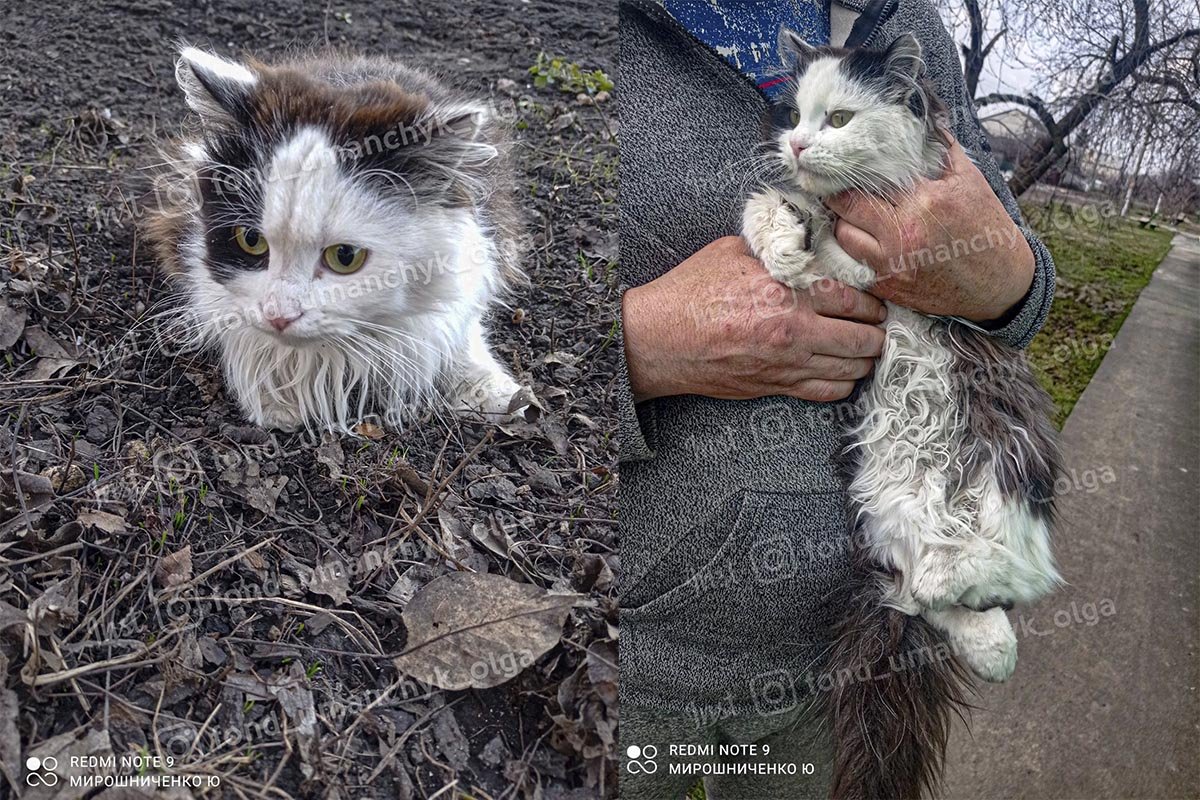 Маленький Альбертик Маленький Альбертик