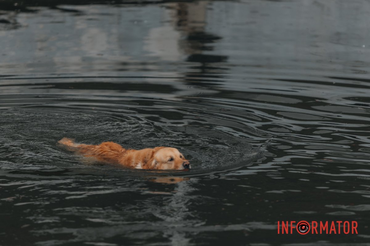 Сподіваємось, не захворіє