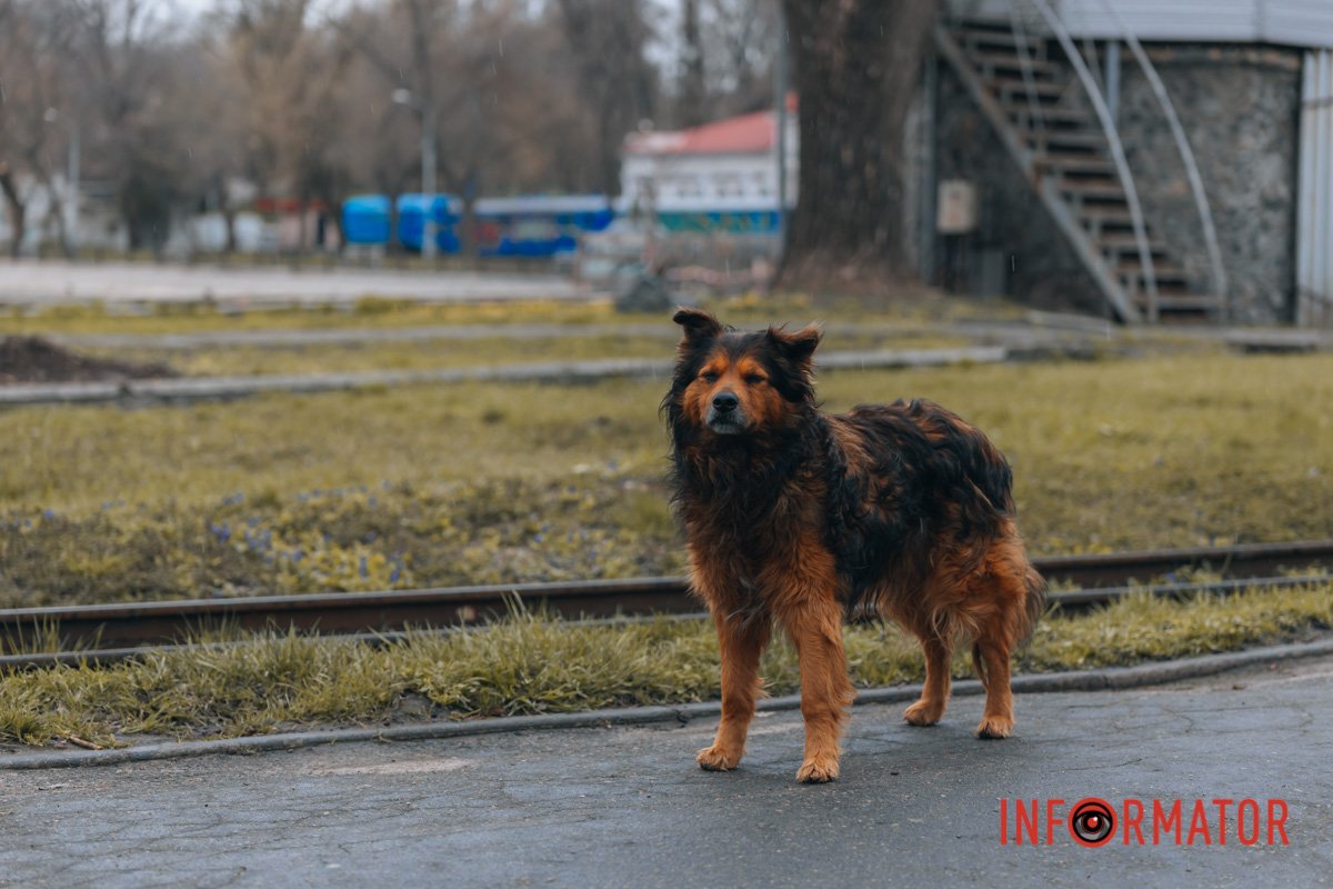 Який фотогенічний