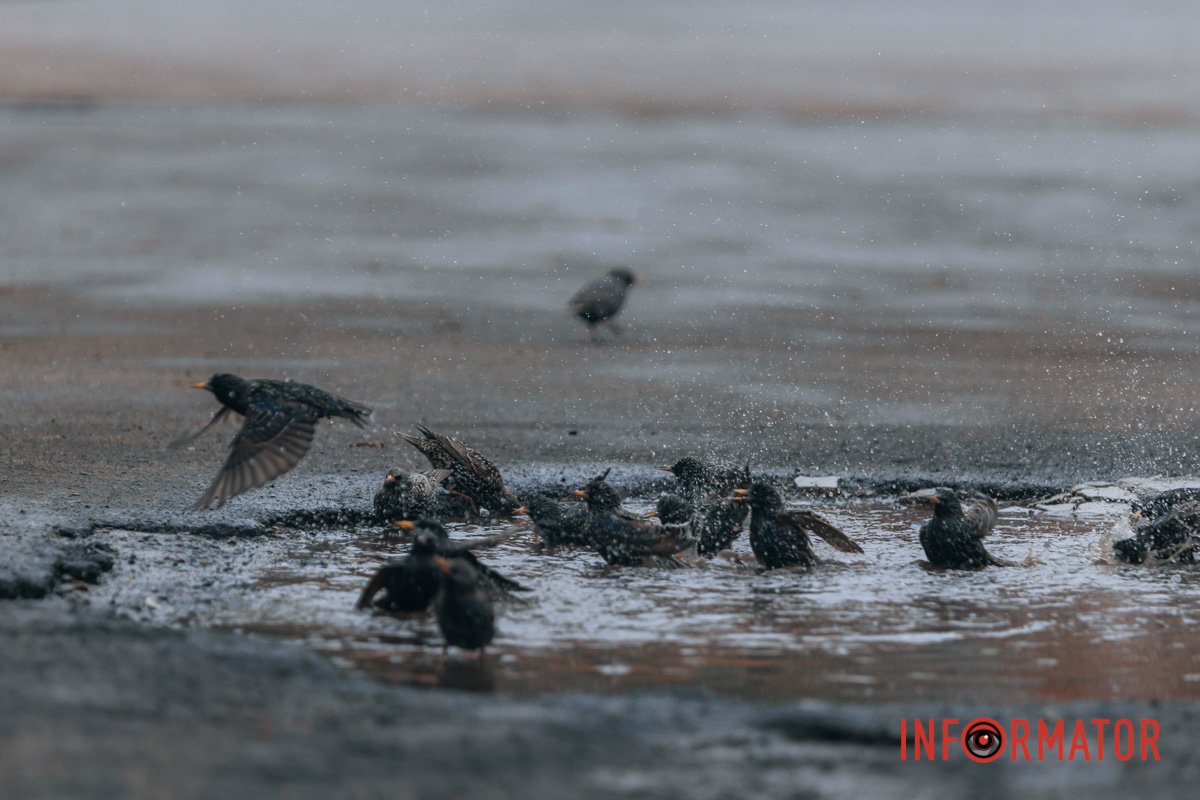 Водні процедури