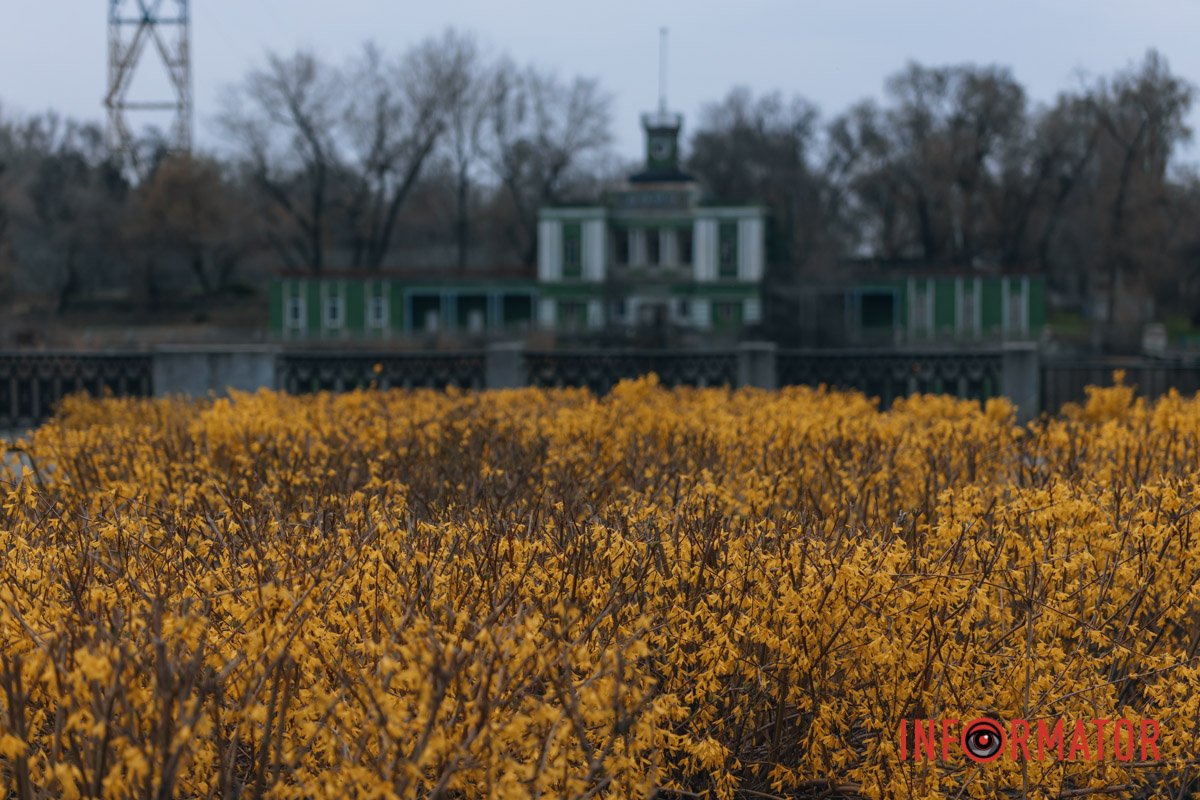 Природа прокидається