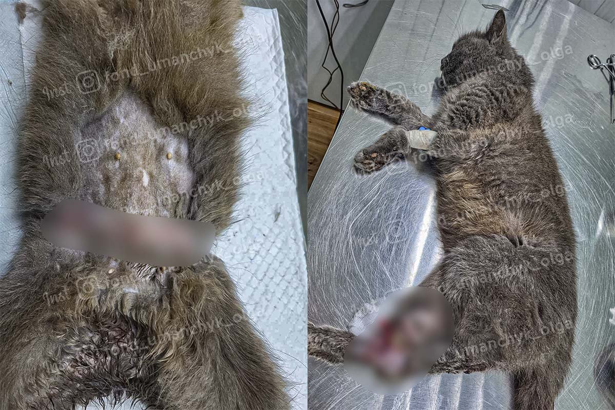 Ви можете допомогти Ви можете допомогти