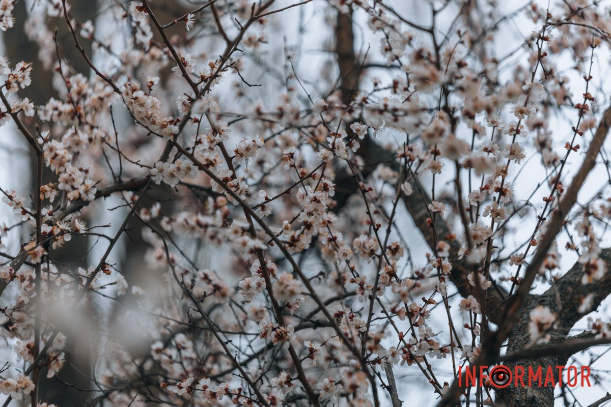 Час змінити шпалери на телефоні 