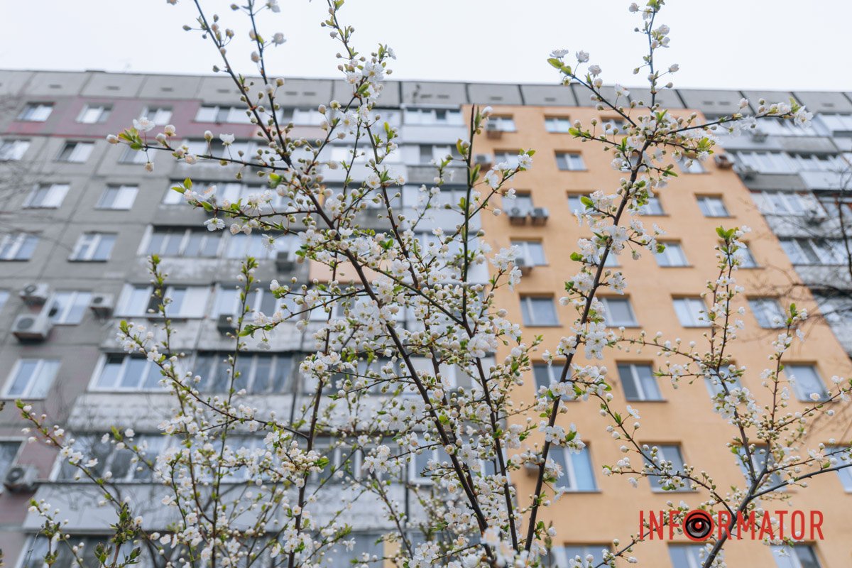 Поєднання кольорів