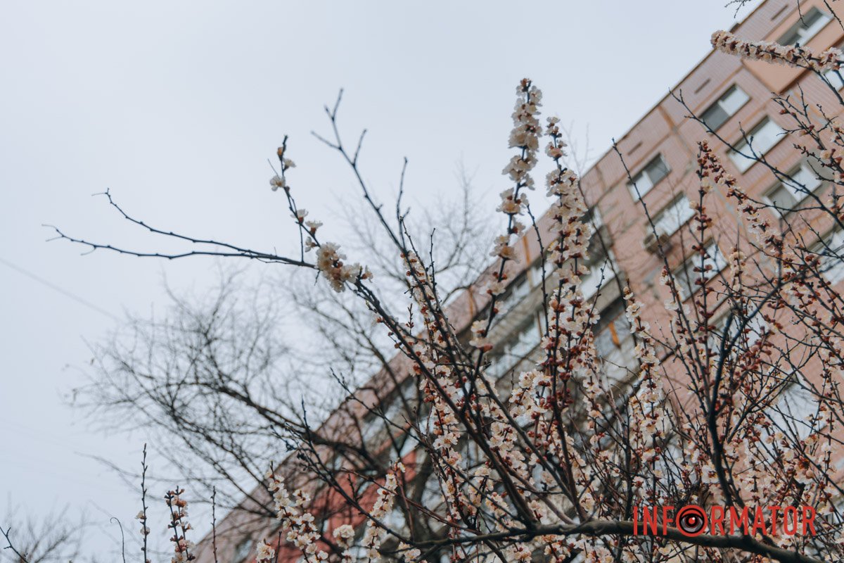 Небо в захваті 