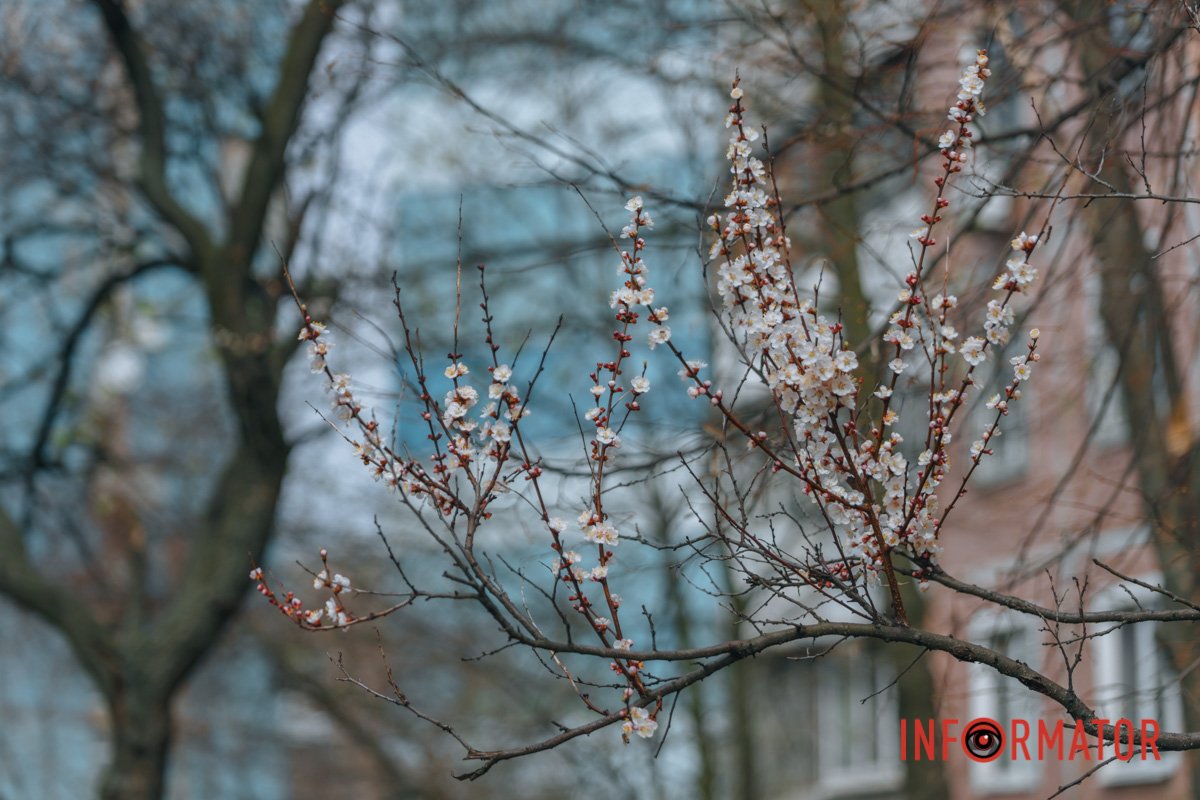 Час швидкоплинний 