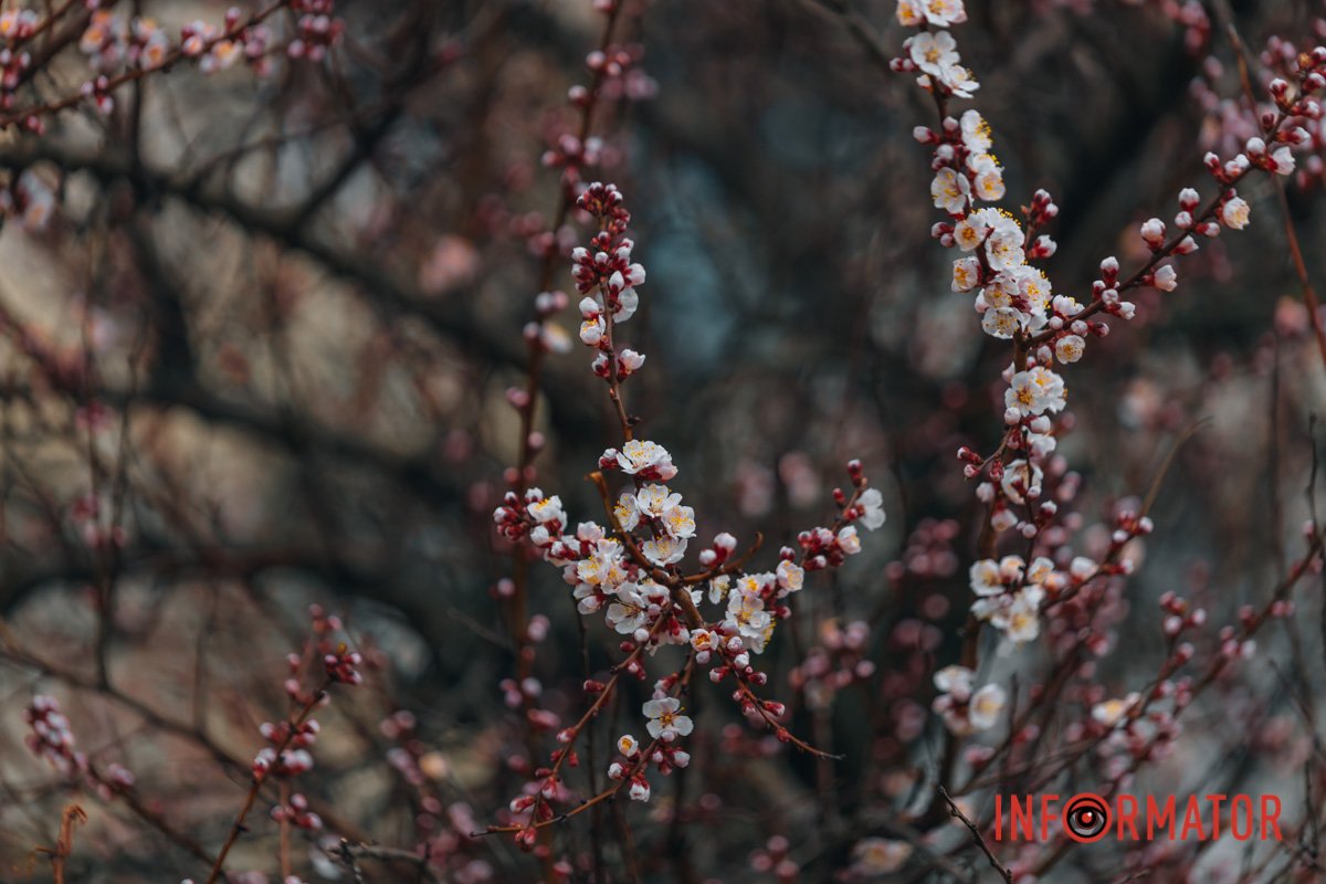 Фото: Денис Чубченко