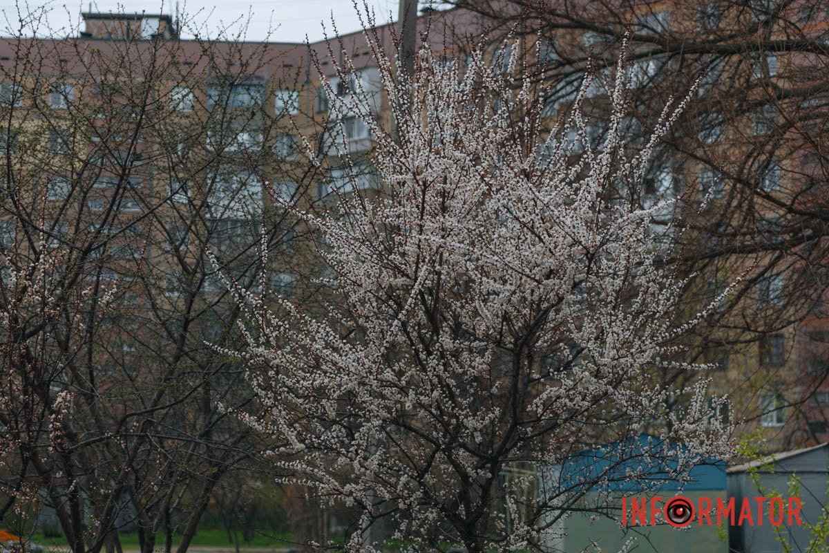 Призма об'єктива