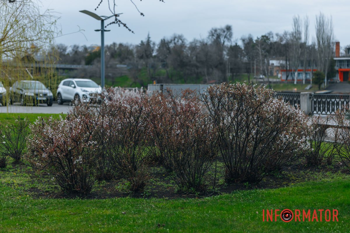 Час прогулянок