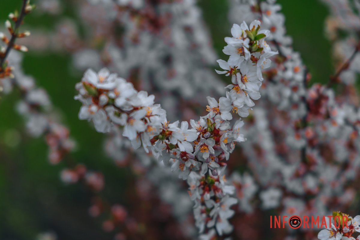 Посміхніться 