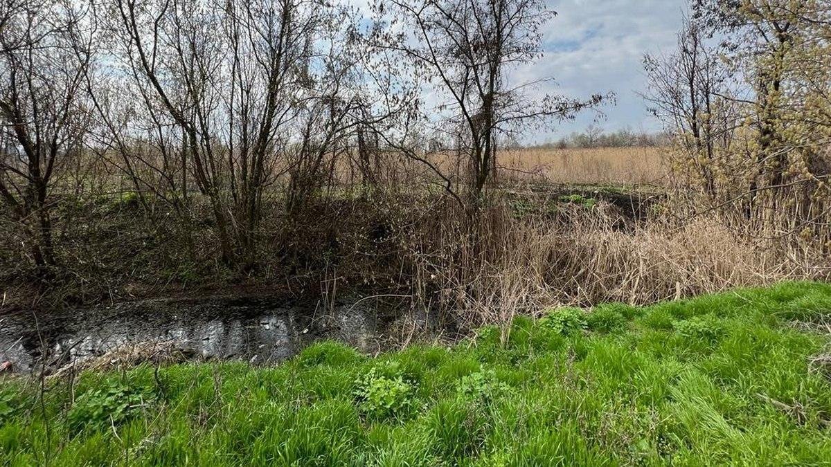 За попередніми даними, хлопчик ховався у комиші За попередніми даними, хлопчик ховався у комиші