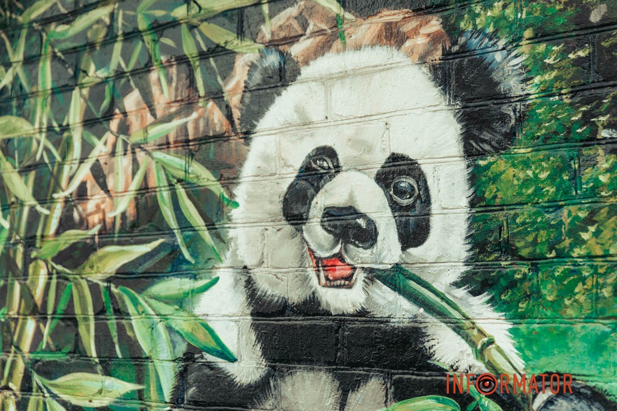 Панда Панда