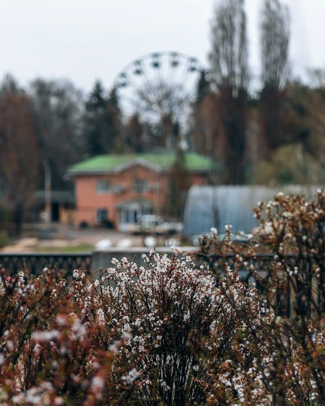 @ph_deniska @ph_deniska