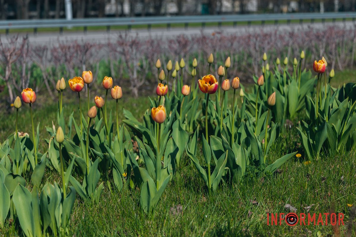 Цінуйте кожну мить