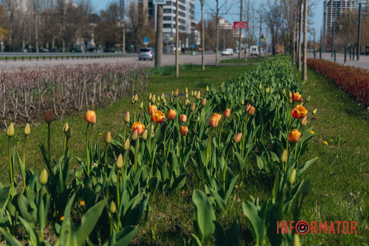 Знайдіть декілька хвилин для себе 