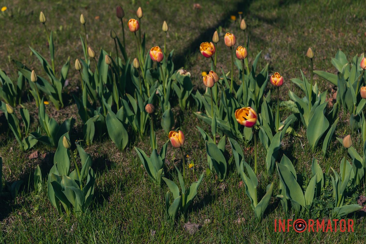 Неповторний момент життя 