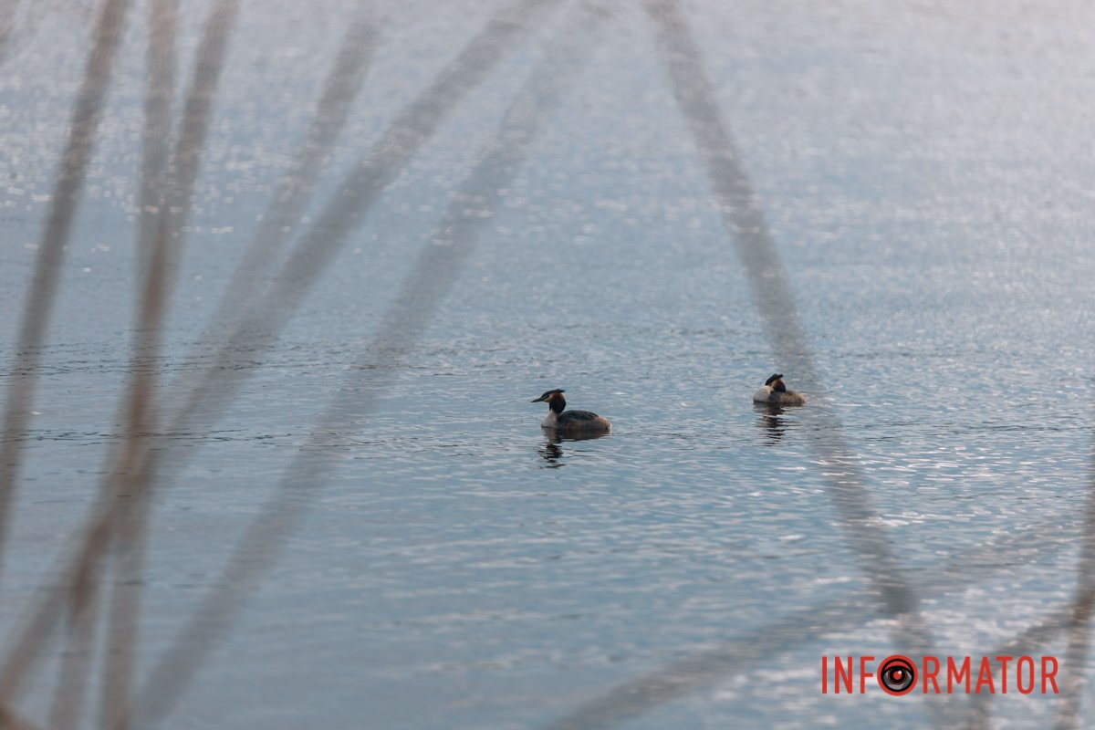 Синоптики прогнозують дощі