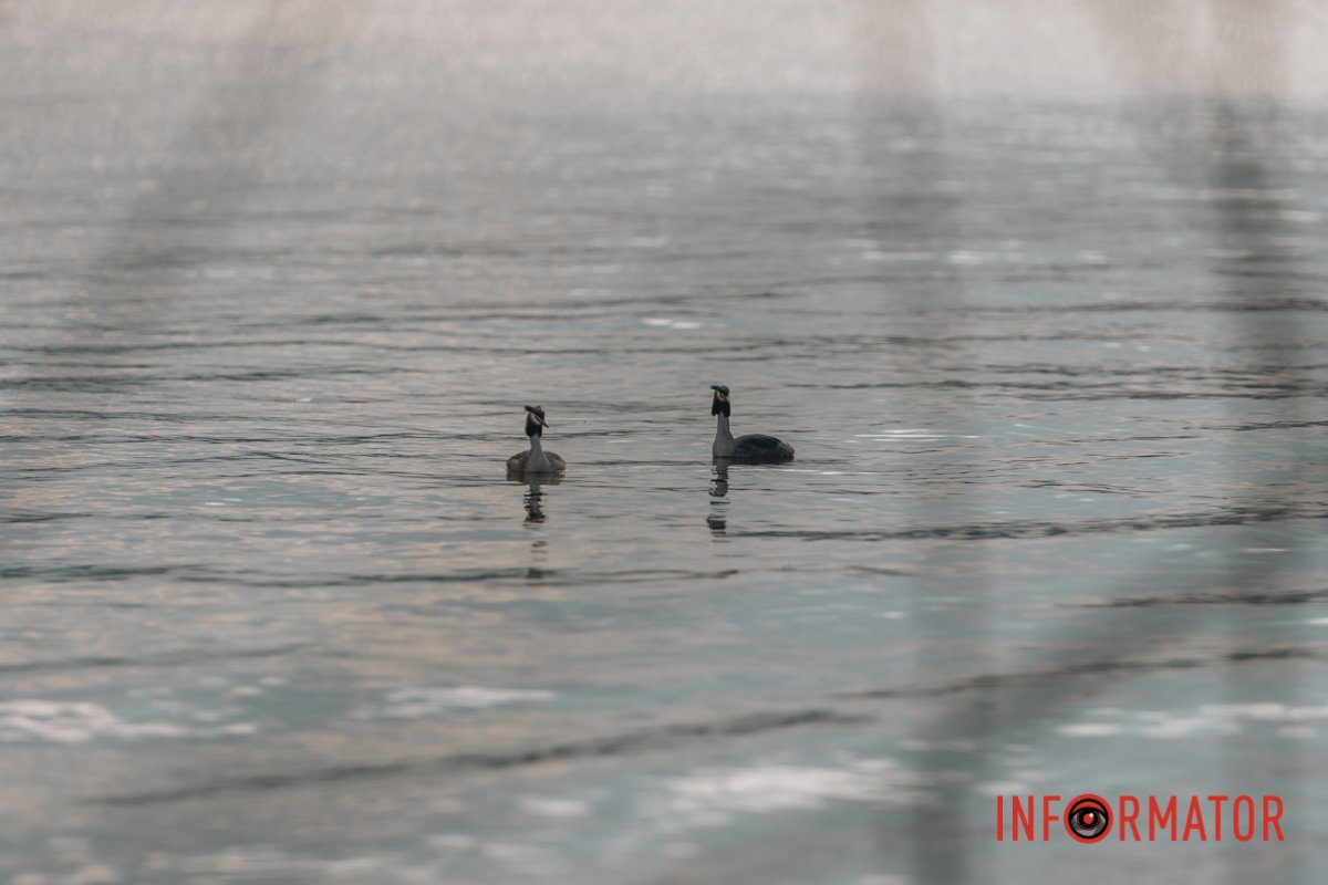 Любіть один одного