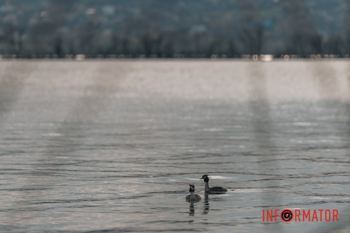 Особливого настрою для прогулянок містом може додати улюблена музика