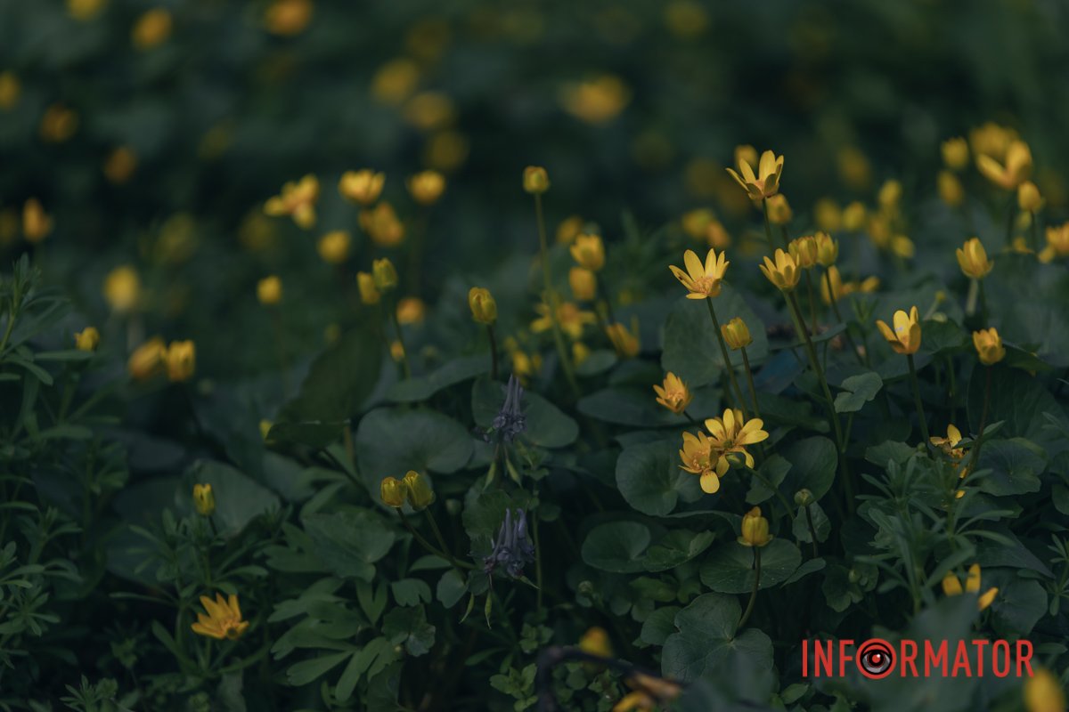 Психологи радять всім українцям жити тут і зараз